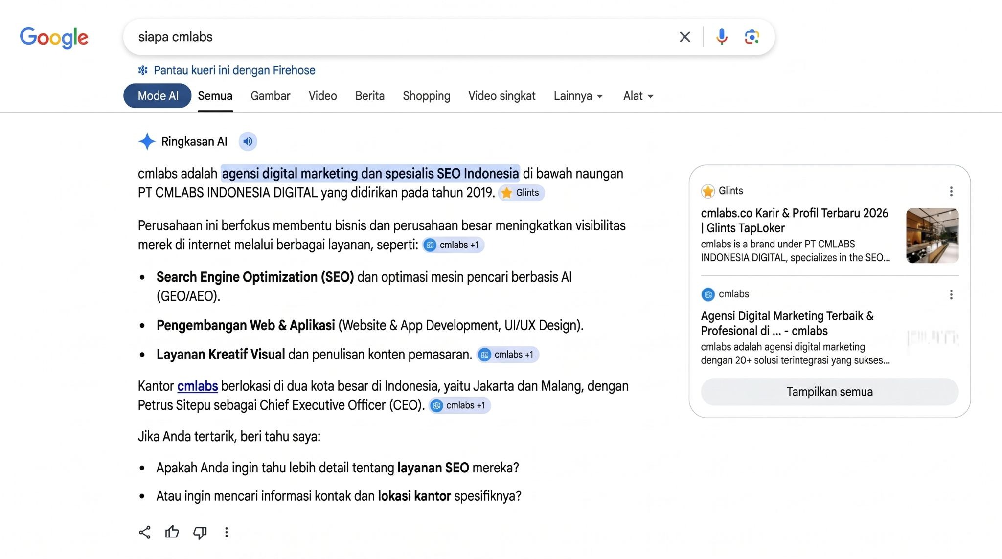 Google search results in the AI ​​overview section